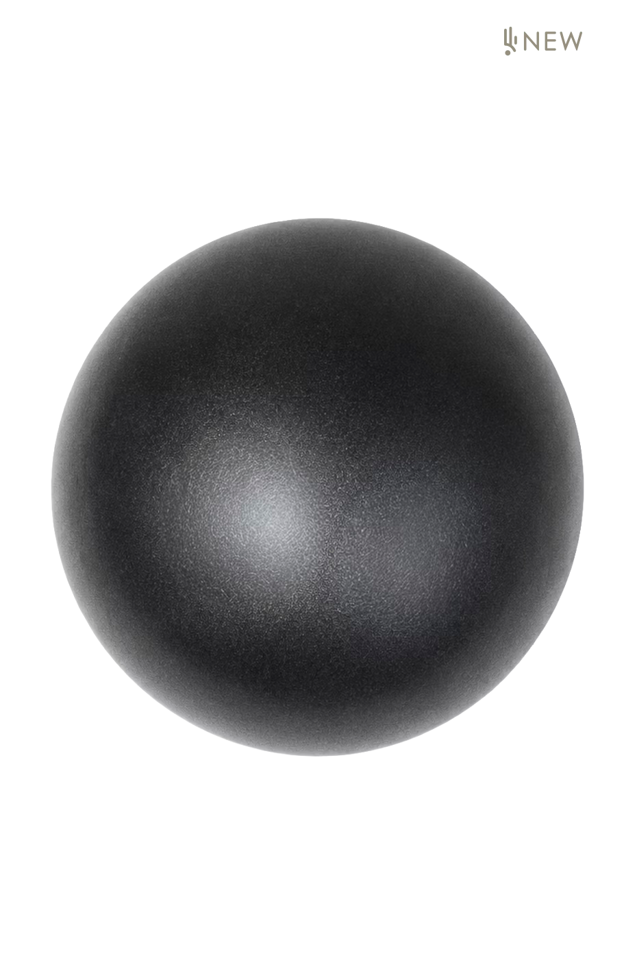 Pelota de Pilates 25 cm Color Negro